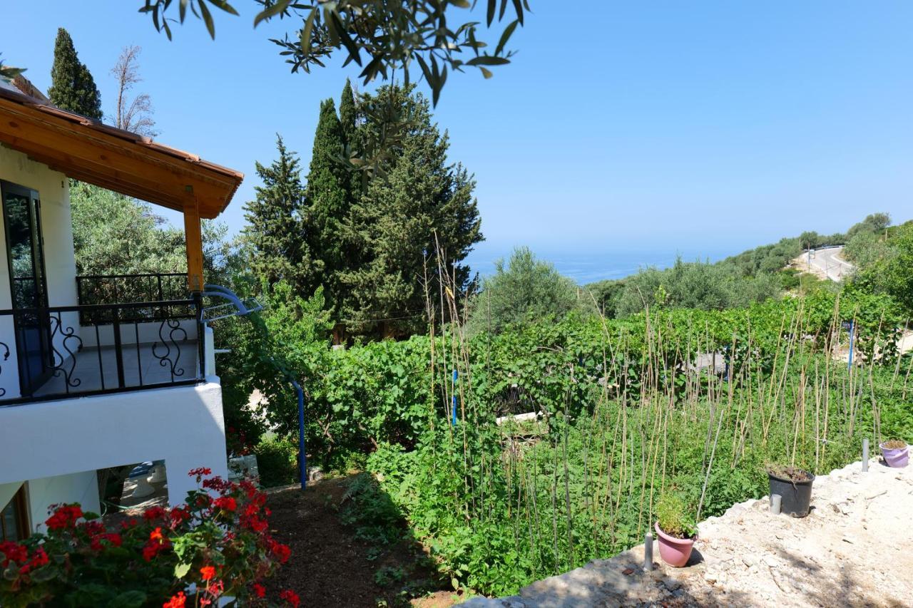 Bed and Breakfast Vila Panorama Piqeras Экстерьер фото