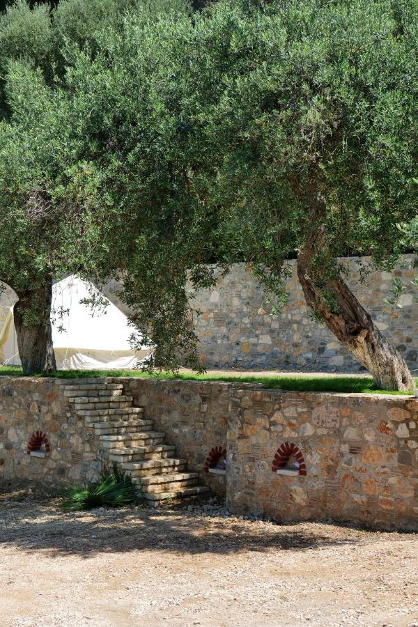 Bed and Breakfast Vila Panorama Piqeras Экстерьер фото