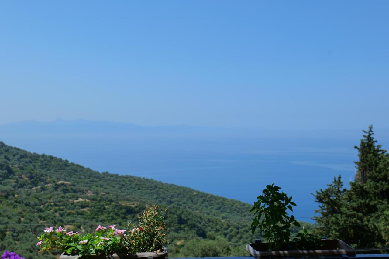 Bed and Breakfast Vila Panorama Piqeras Экстерьер фото